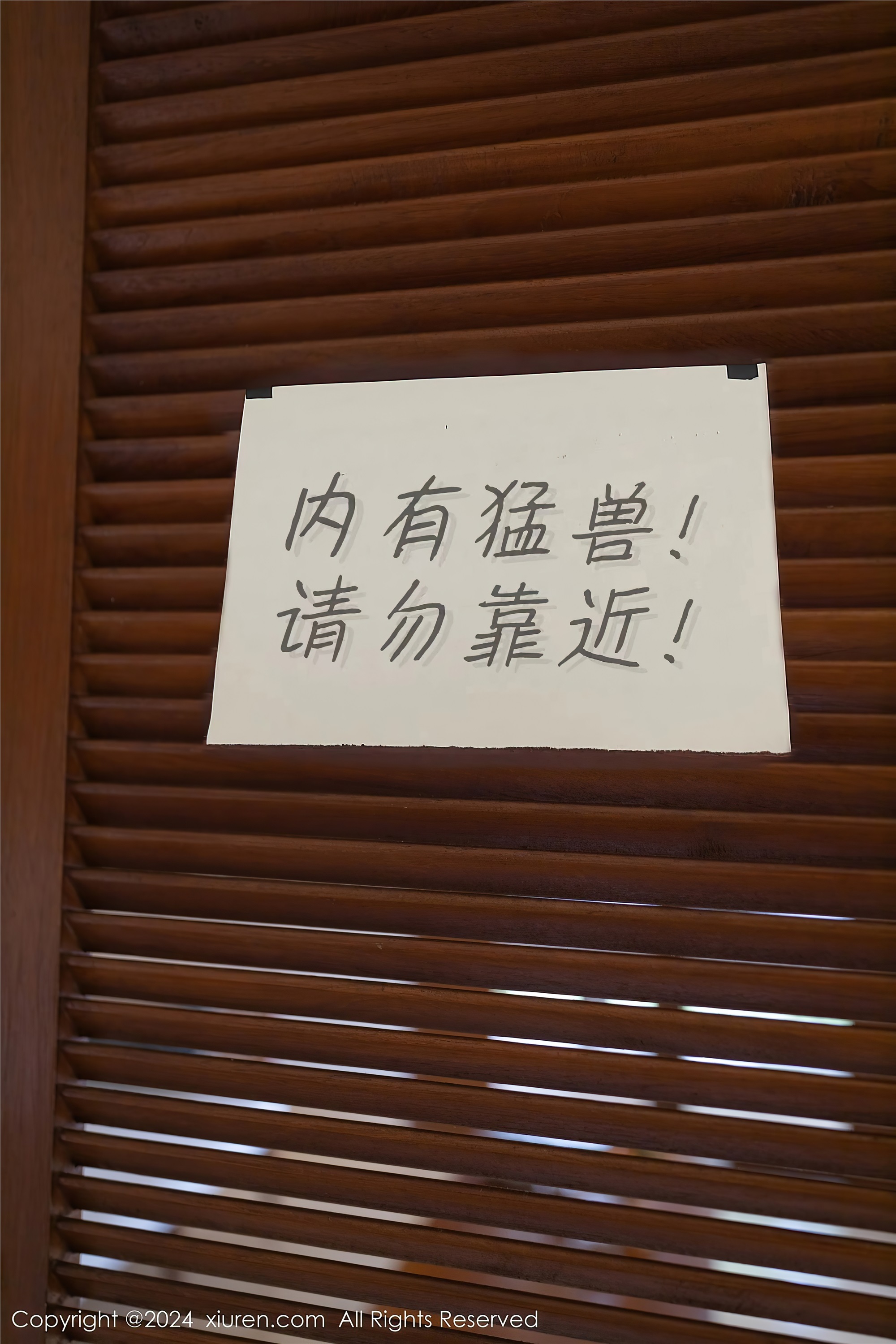 Xiuren秀人网 2024.01.26 NO.8029 幼幼